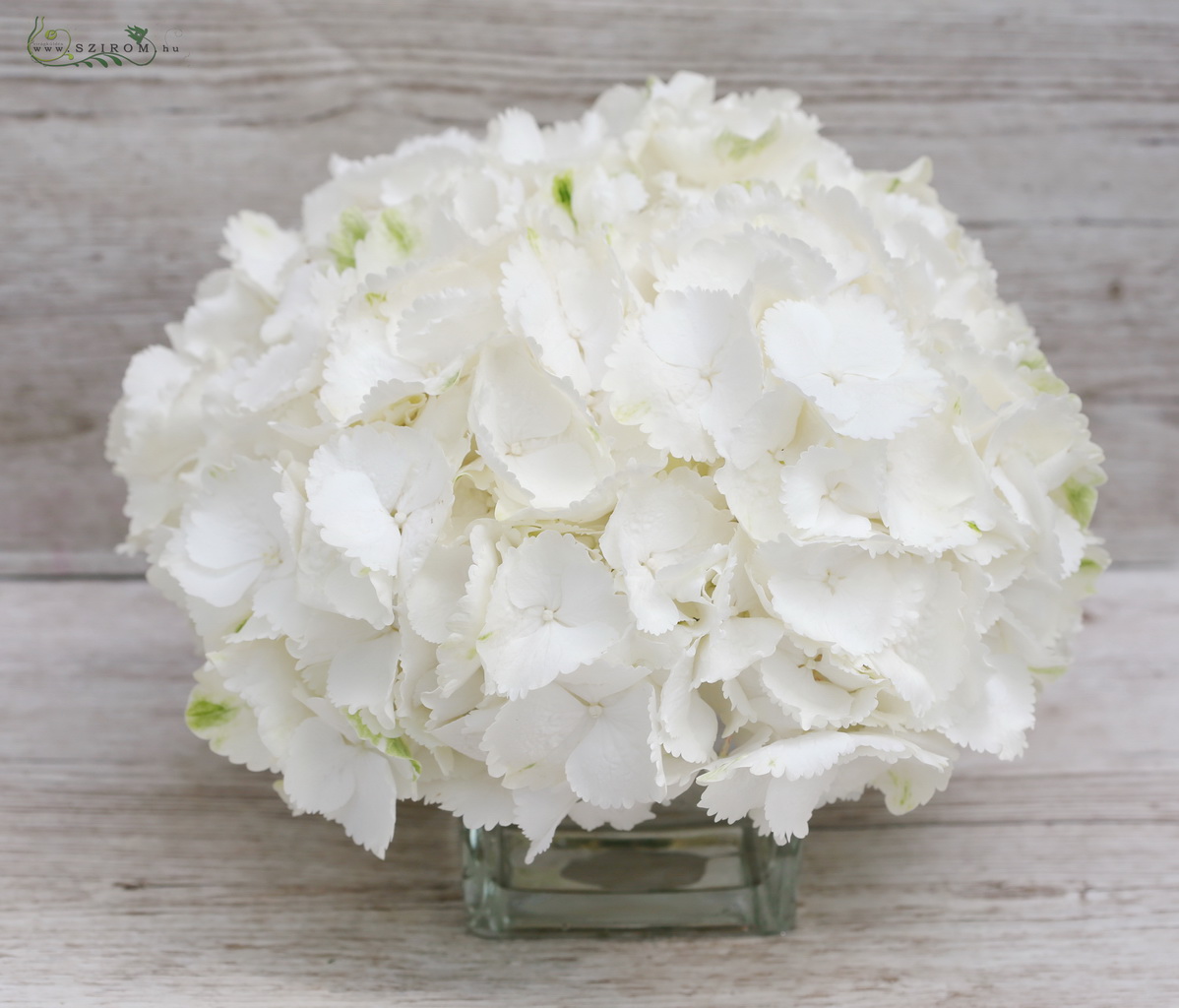 flower delivery Budapest - Wedding centerpiece white hydrangea in glass ball