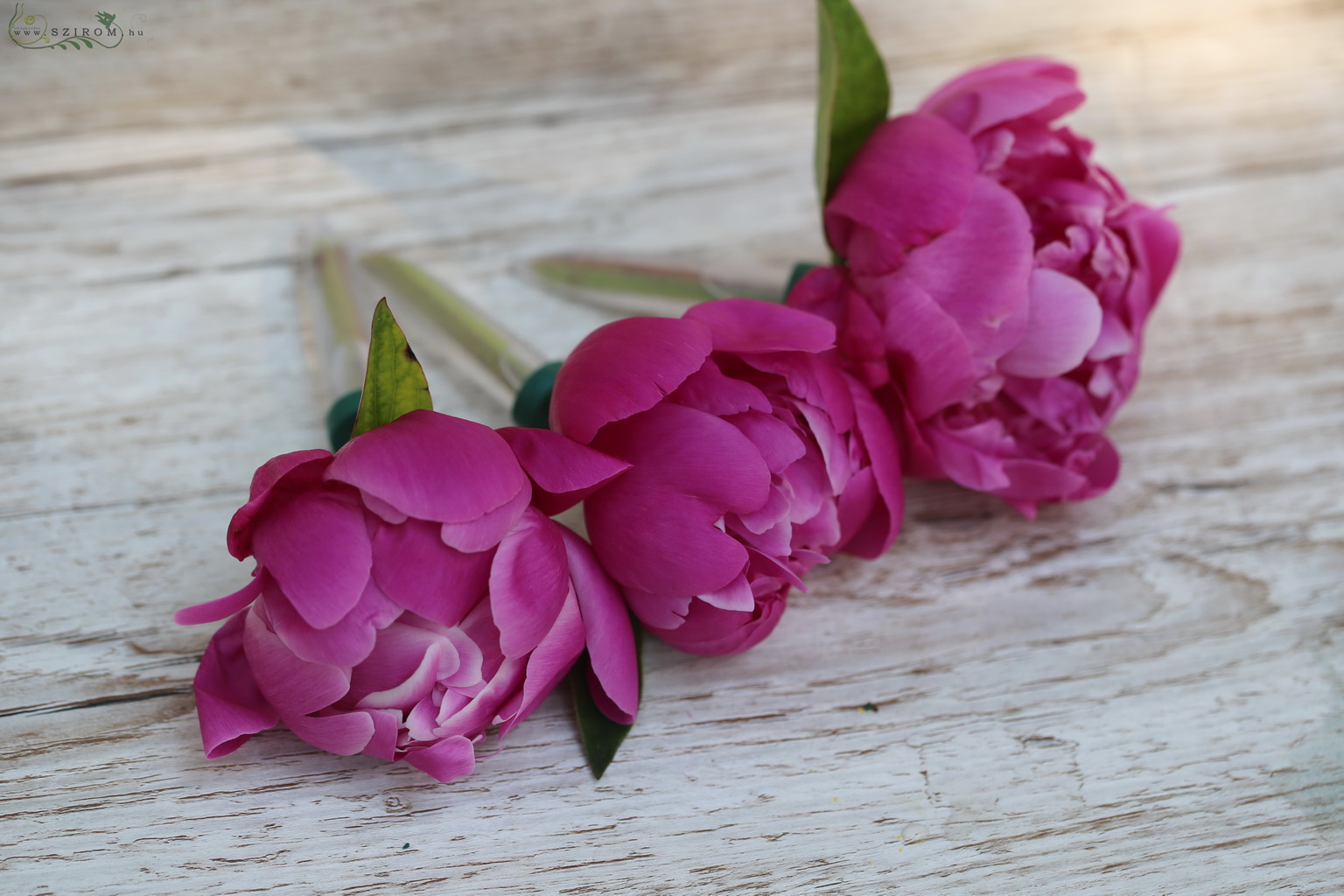 Blumenlieferung nach Budapest - Brautstrauß