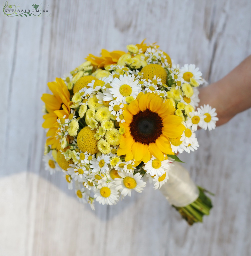 flower delivery Budapest - Bridal bouquet (sunflower, chamomile, craspedia, matricaria, yellow)