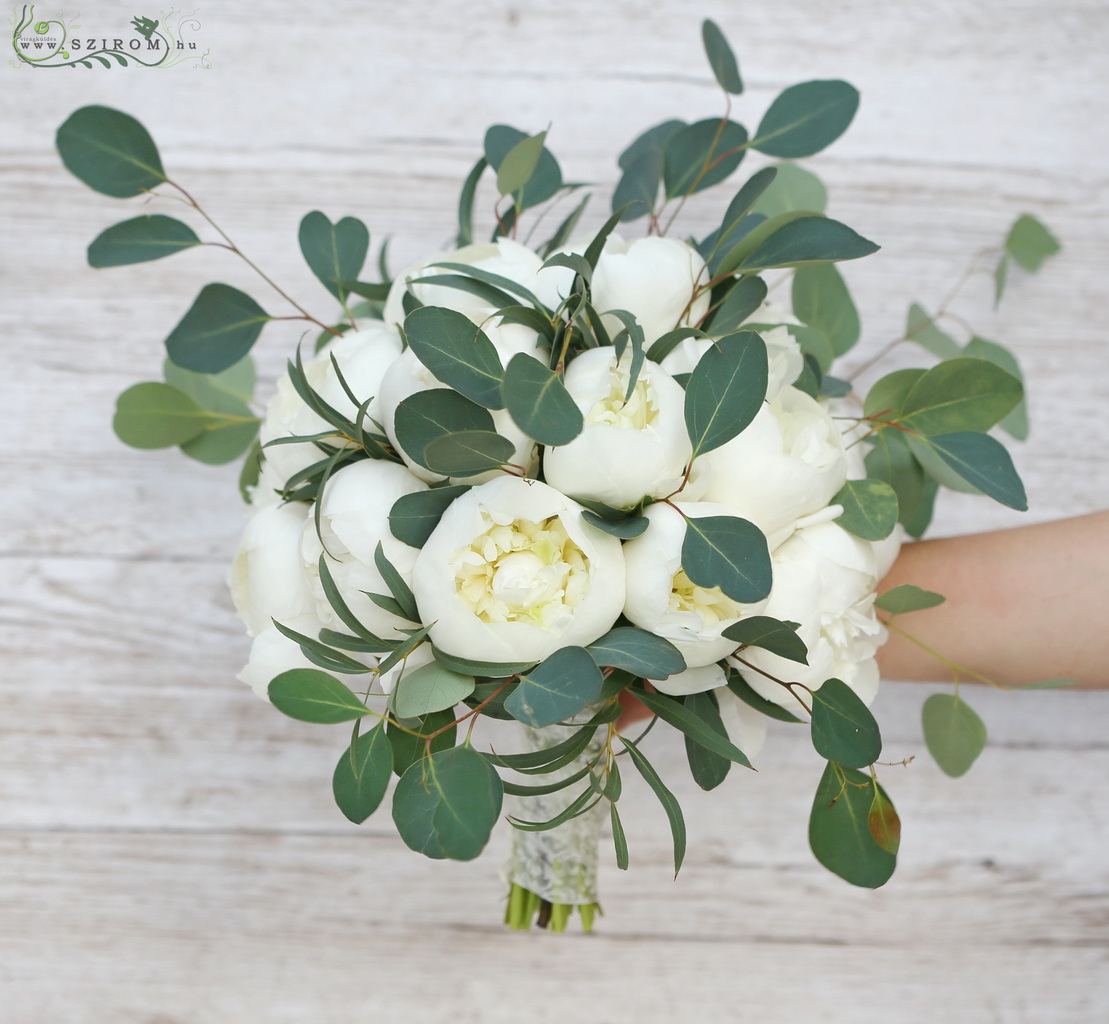 flower delivery Budapest - Bridal bouquet (peony, eucaliptus polyanthemos, white) summer