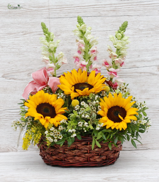 flower delivery Budapest - Little basket of sunflowers and snapdragons