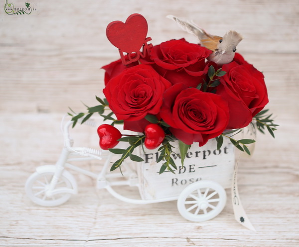 flower delivery Budapest - Lovebird rose bycicle (7 stem)
