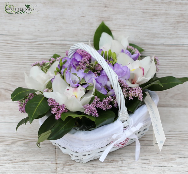 flower delivery Budapest - White orchid basket with small flowers (12 stems)