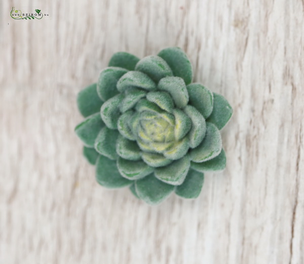 flower delivery Budapest - Ceramic succulent 4,5 cm