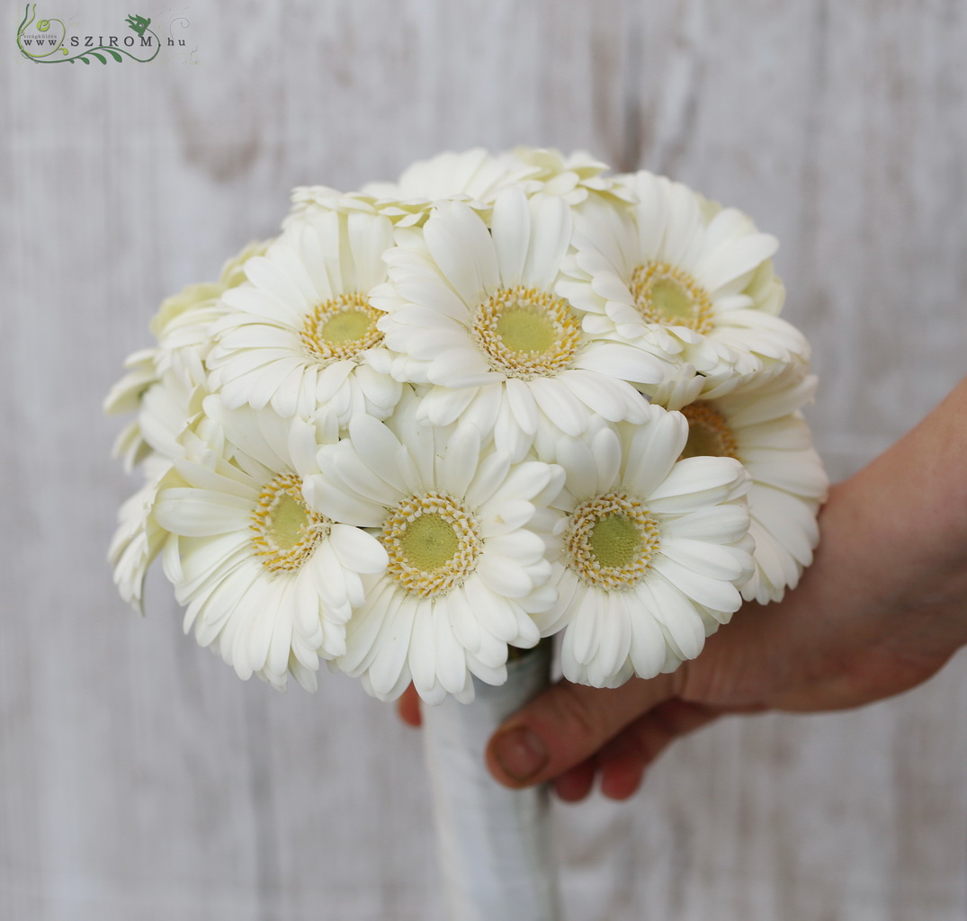 flower delivery Budapest - Bridal bouquet (gerbera, white)