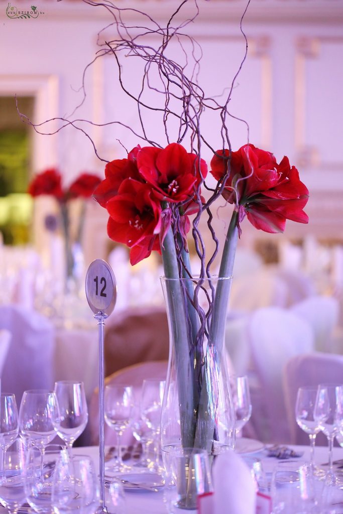 flower delivery Budapest - Event decor with red amaryllis, Corinthia Budapest