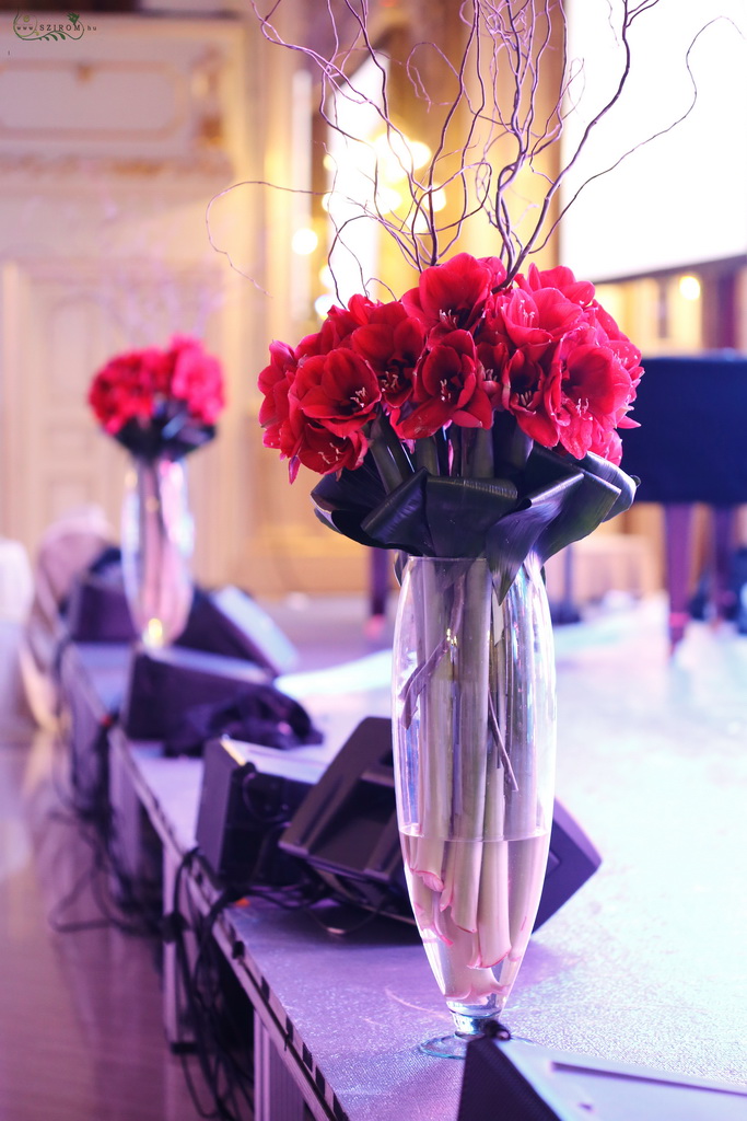 flower delivery Budapest - Event decor with red amaryllis, Corinthia Budapest