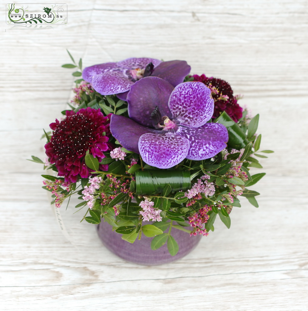 flower delivery Budapest - Centerpiece with purple vanda orchids, scabiosas