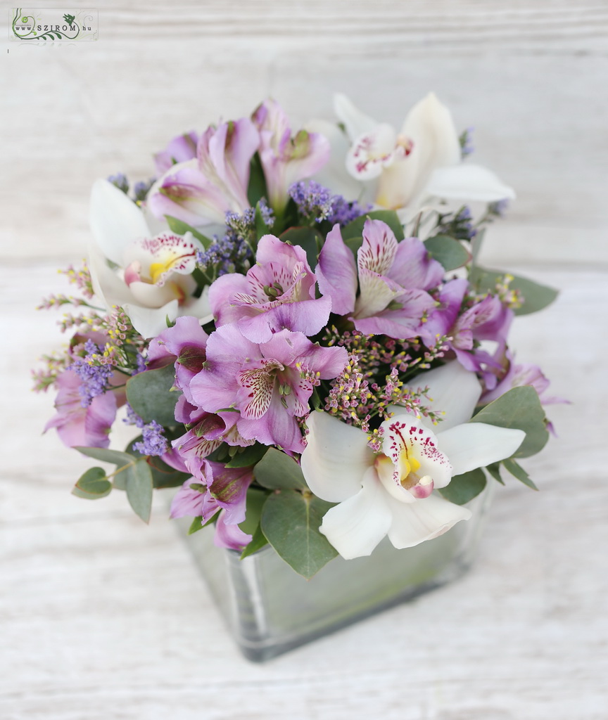 flower delivery Budapest - glass cube with white orchids, purple alstromeries