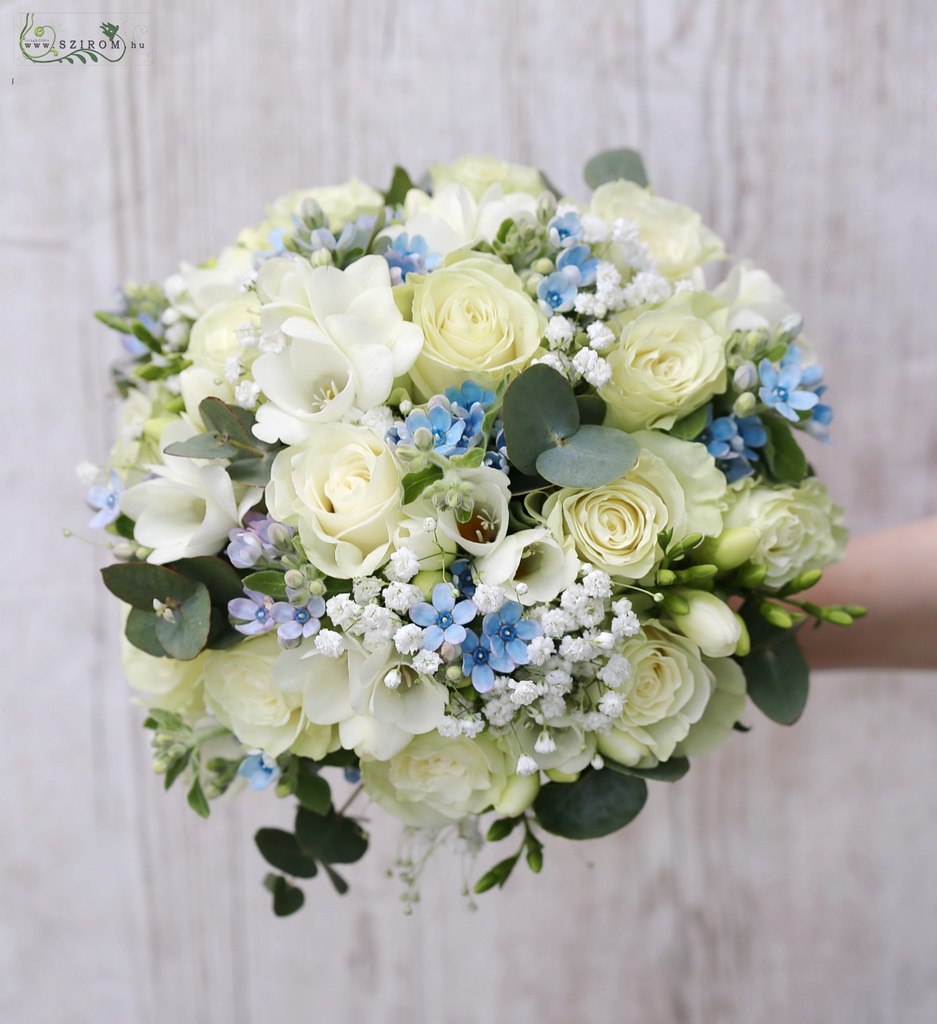 flower delivery Budapest - Bridal bouquet (rose, freesia, baby breath, oxypetalum, white, blue)