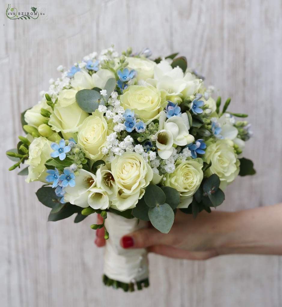 Menyasszonyi csokor (rózsa, frézia, rezgő, oxypetalum, eukaliptusz, fehér, kék)