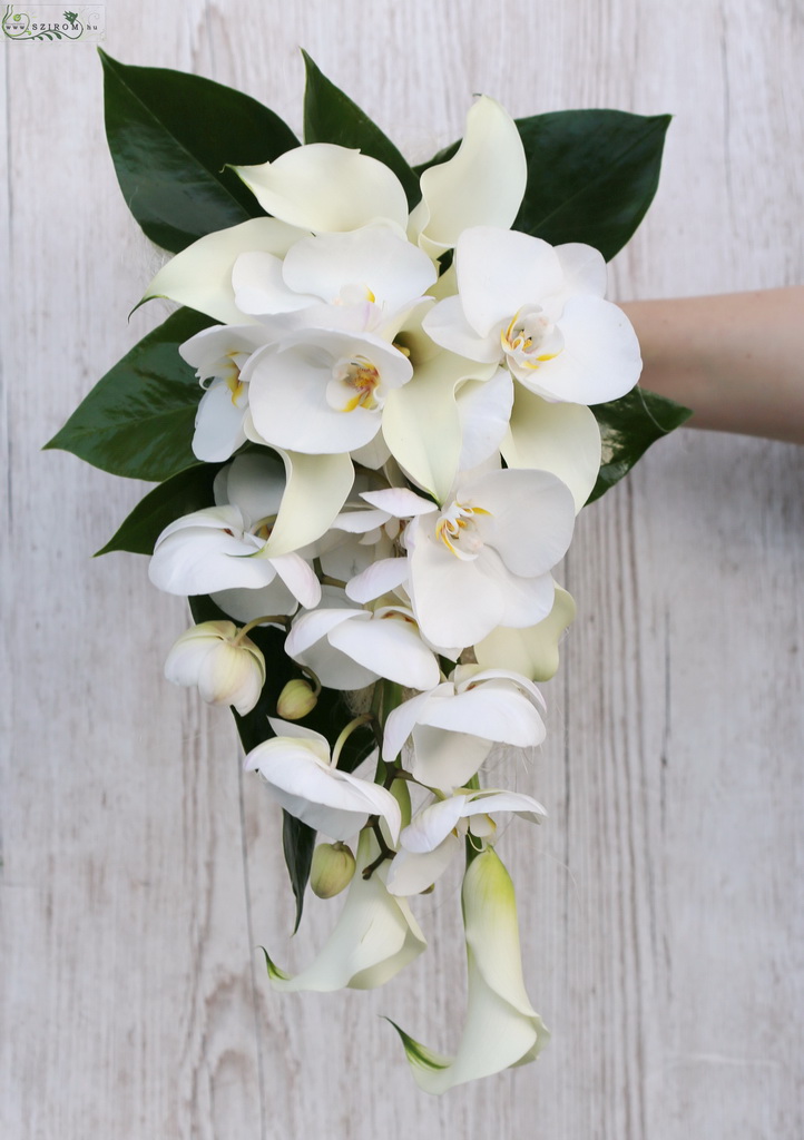 flower delivery Budapest - Drop shape bridal bouquet (cala, orchid, white)