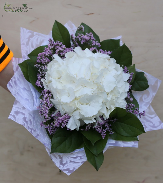 Virágküldés Budapest - Csokor hortenziával, sóvirággal
