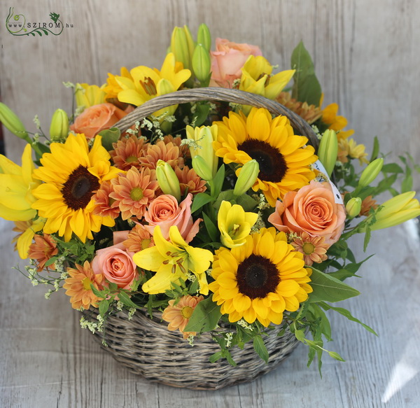 Blumenlieferung nach Budapest - gelb pfirsich farbener Blumenkorb mit Sonnenblumen (21 St)