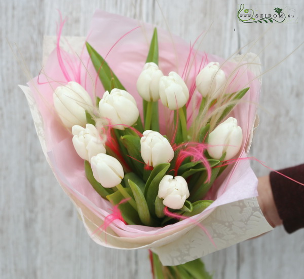 flower delivery Budapest - 10 tulips with stipa grass
