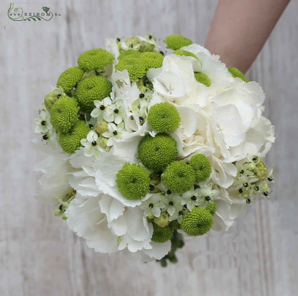 flower delivery Budapest - bridal bouquet (hydrangeam ornithogalum, chrysanthemum, white, green)