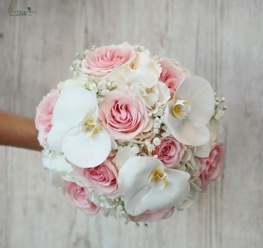 flower delivery Budapest - bridal bouquet (hydrangea, phalaenopsis, orchid, rose, white, pink)