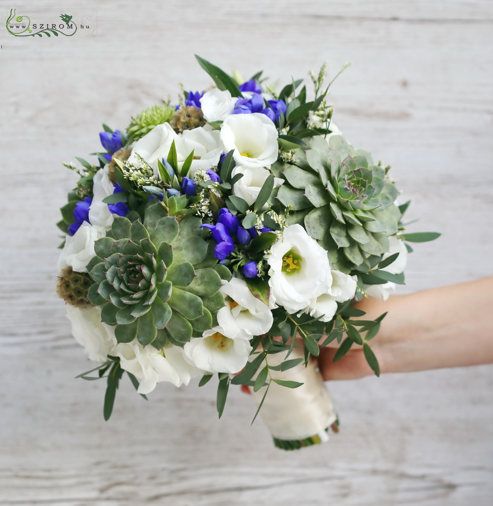 flower delivery Budapest - bridal bouquet (gentian, lisianthus, sempervivum, green, white, blue)