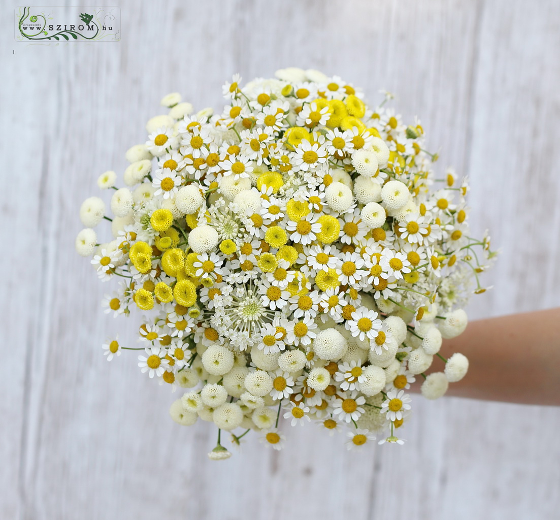 flower delivery Budapest - bridal bouquet (chamomile, matricaria, garden flower, wild flower, white, yellow)