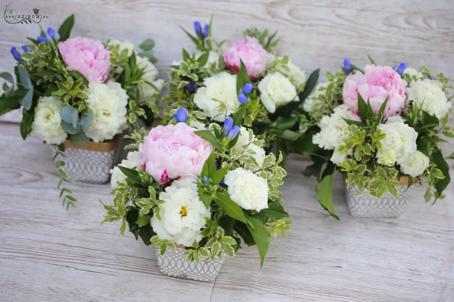 flower delivery Budapest - Centerpiece in concrete pot 1 db (peony, lisianthus, gentian, pink, cream, blue)