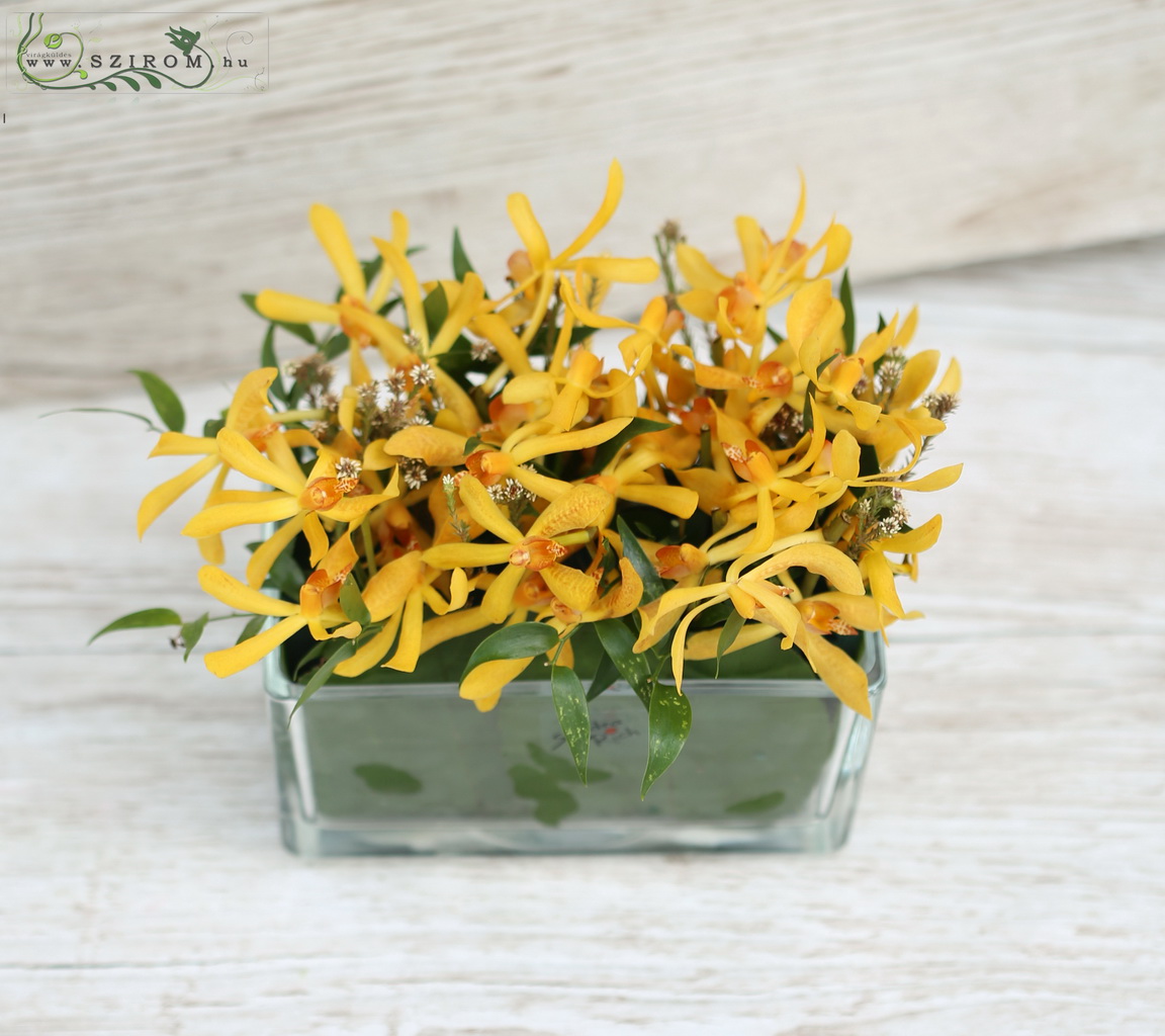 flower delivery Budapest - Table decoration in glass cubes (mokara orchid, orange)