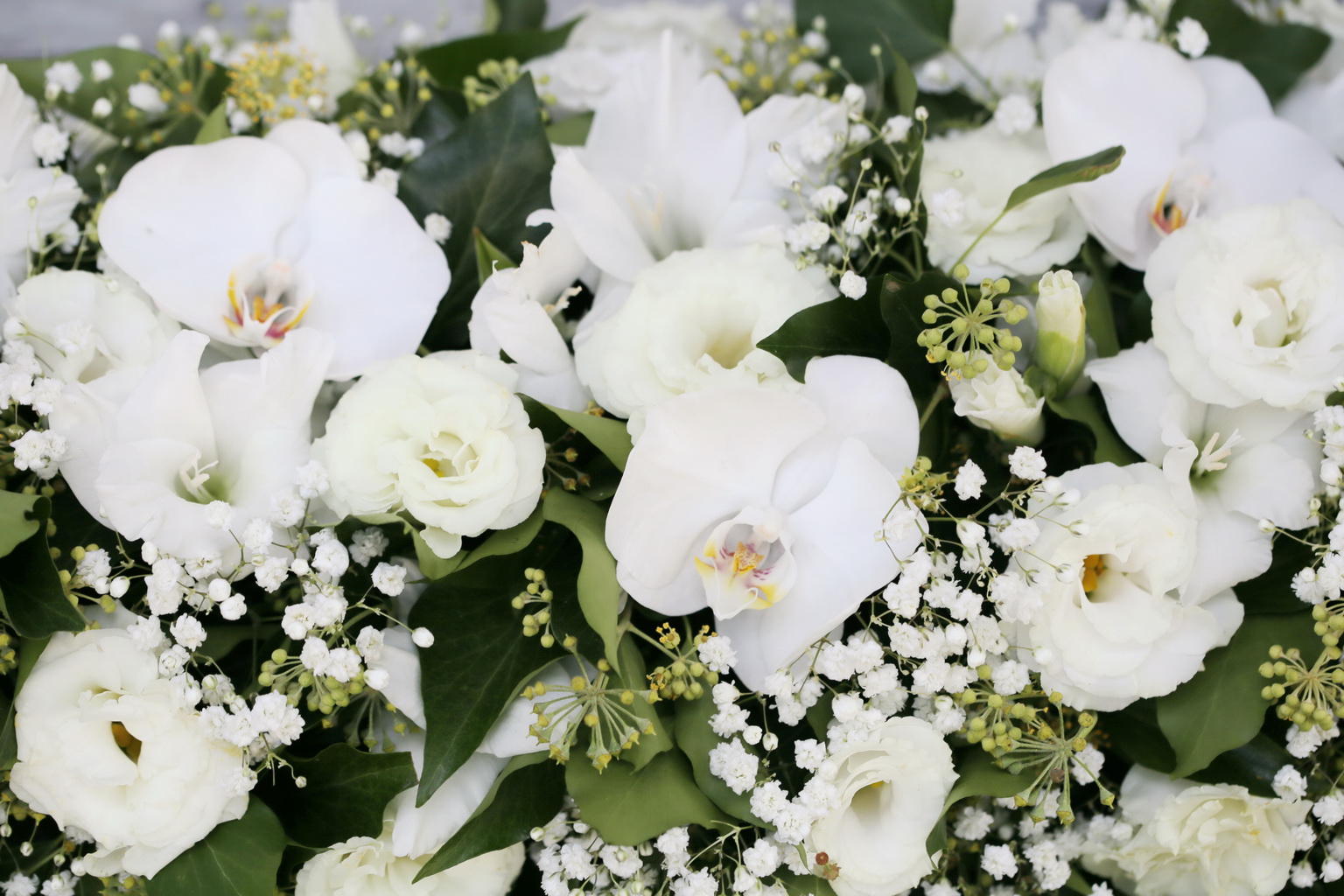 flower delivery Budapest - Main table centerpiece  Gundel (phalaenopsis orchid, lisianthus, babybreath, white)