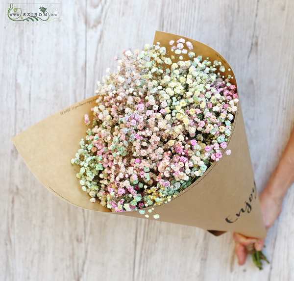 Blumenlieferung nach Budapest - Regenbogen Gypsophila in Kraftpapier (8 Stiele)