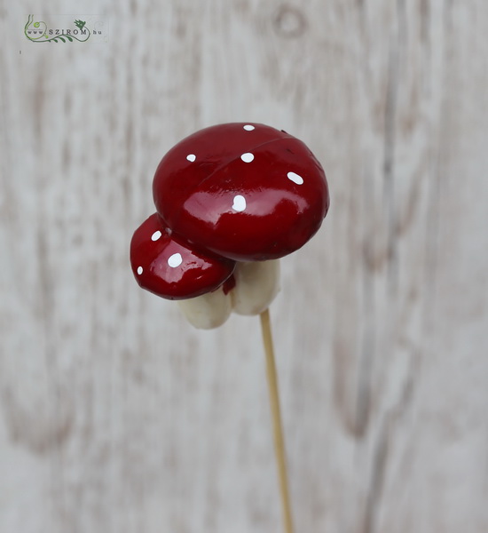 flower delivery Budapest - Mushroom on stick