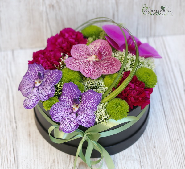 flower delivery Budapest - Modern flowerbox with vanda orchid