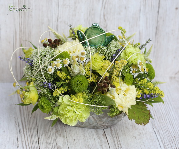 Blumenlieferung nach Budapest - Frosch auf der Wiese