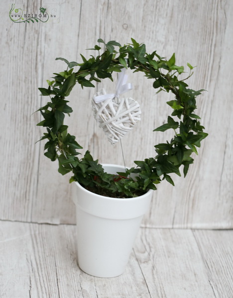 flower delivery Budapest - Running ivy in pot with heart