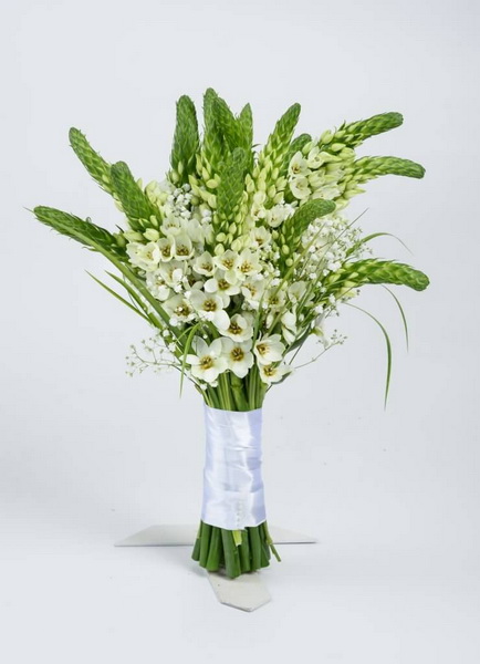 Blumenlieferung nach Budapest - kis ornithogalum Strauss (15 Stiele)