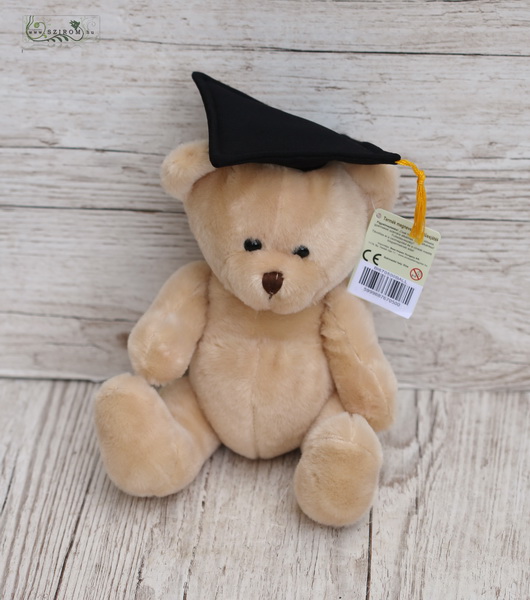 flower delivery Budapest - Plush graduation teddy 19cm