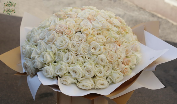 flower delivery Budapest - 150 white roses in bouquet