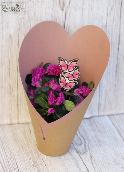 Blumenlieferung nach Budapest - Azalea im Herz Papier, mit Schmetterling (Weiß)
