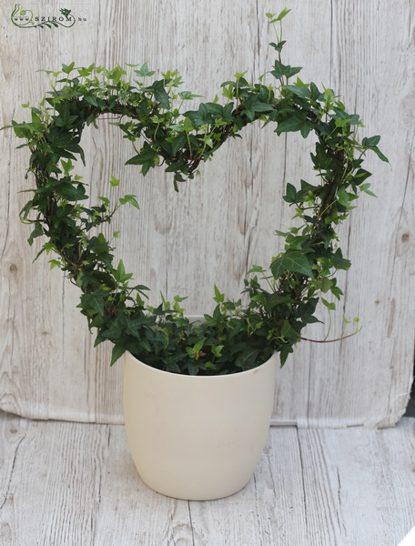 Blumenlieferung nach Budapest - Hedera Herz