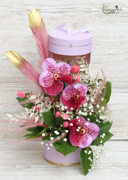 Blumenlieferung nach Budapest - Zylinderbox mit vanda Orchideen