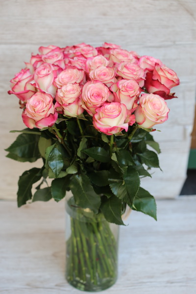 Blumenlieferung nach Budapest -  25 zweifarbige Rosen in Vase