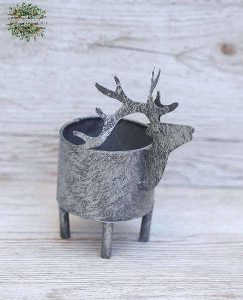 flower delivery Budapest - Deer pot 10 cm