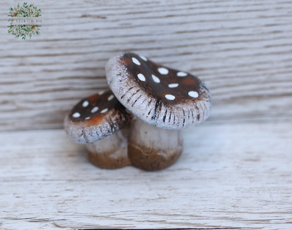 flower delivery Budapest - Mushroom 6 cm