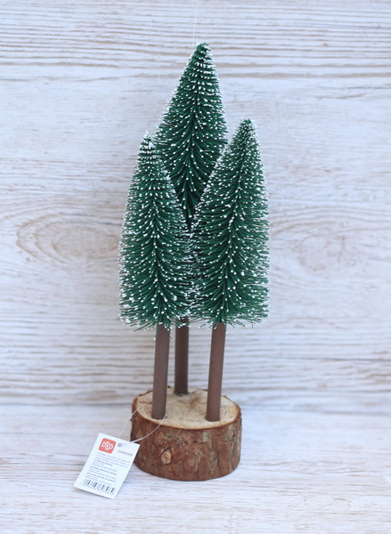 flower delivery Budapest - Pines 30cm