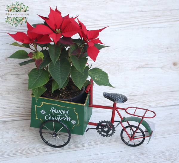 flower delivery Budapest - Santa tricycle