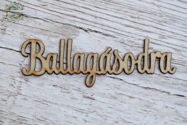 Blumenlieferung nach Budapest - für deinen Abschluss - Holz Stäbchen (9cm)