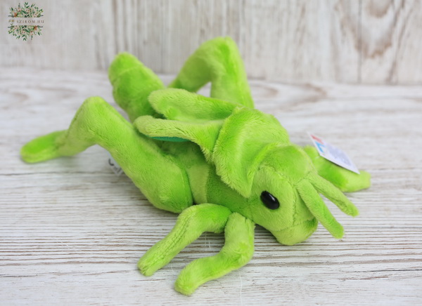 flower delivery Budapest - plush grasshopper 20cm