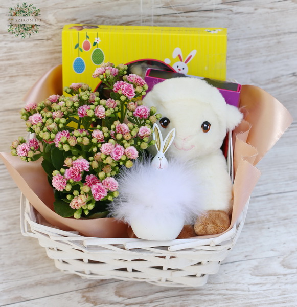 flower delivery Budapest - Spring gift basket with chocolates, kalanchoe plant, plush sheep, bunnya