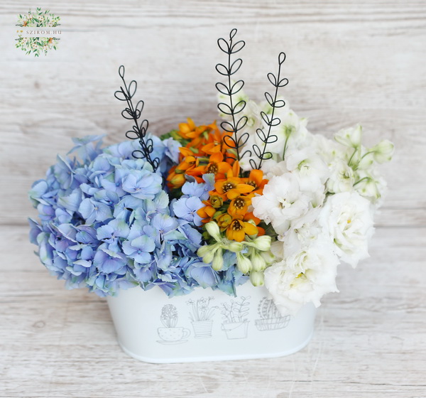 flower delivery Budapest - Tin pot with hydrangeas and summer flowers