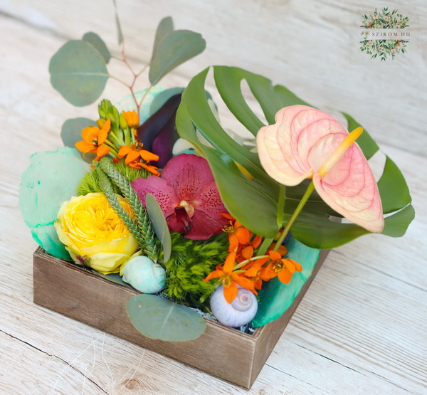 flower delivery Budapest - Summer tropical flowers in wooden box