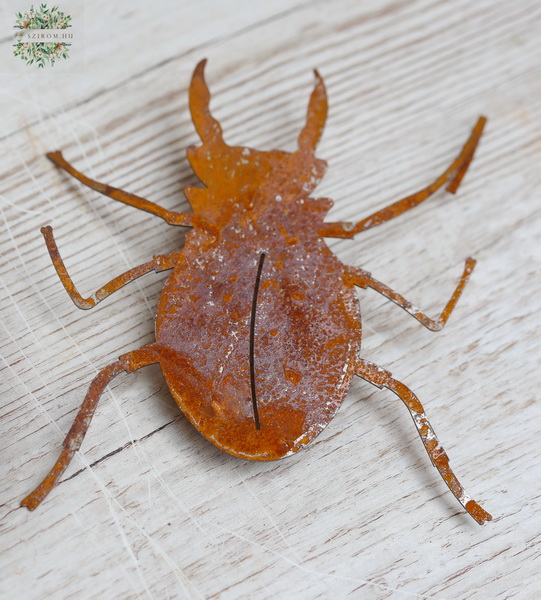 flower delivery Budapest - rusty beetle 16 cm 