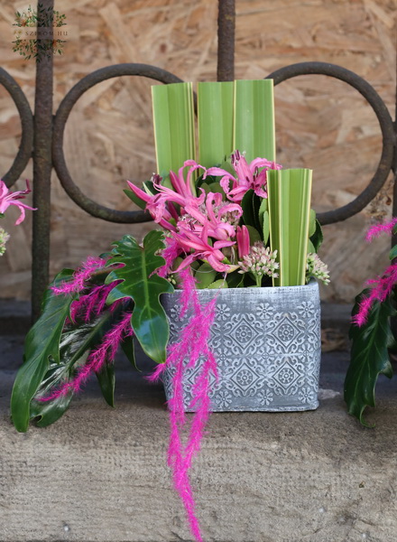 flower delivery Budapest - Modern cube with nerine