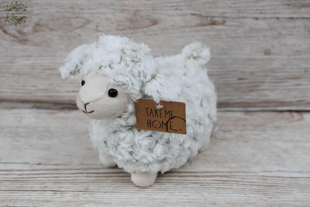 flower delivery Budapest - Plush lamb 21 cm